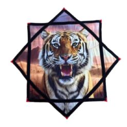 דאפו מגניב לי נמר