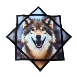 דאפו מגניב לי זאב