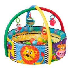 אוניברסיטת פליינסט בריכת כדורים